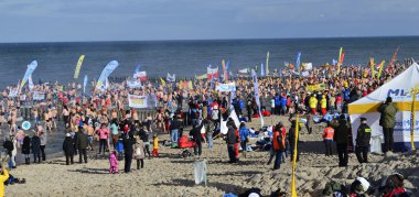 16 February 2014 Mielno, Poland: Guinness record breaking in Polar Bear Plunge clipart