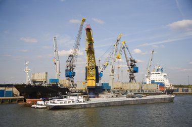 rotterdam liman, konteyner gemisi