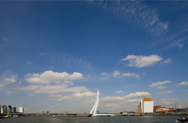 De Erasmusbrug in rotterdam, Nederland — Stockfoto