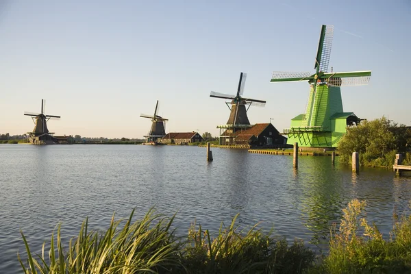 Väderkvarnar på zaanse schans, Nederländerna — Stockfoto