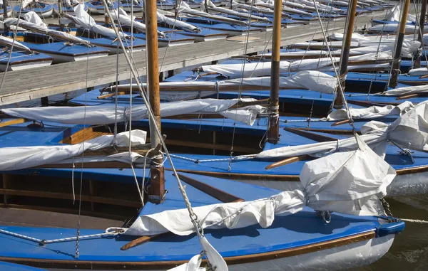 Molte barche a vela blu nel porto turistico — Foto Stock