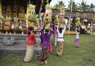 teklifleri bali bir tapınak töreni için hazırlanıyor