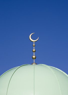 detay moroccon Camii, barneveld, Hollanda