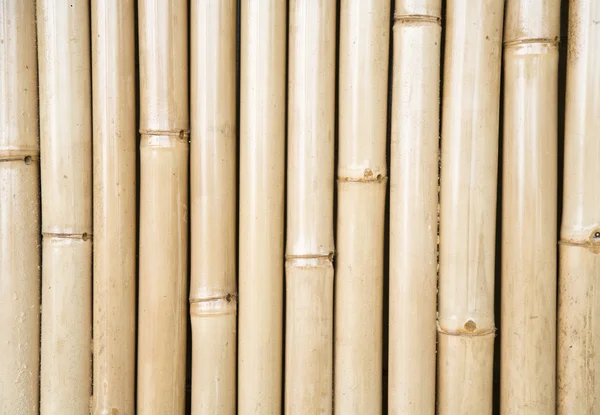 Fundo de bambu na ilha de Bali, Indonésia — Fotografia de Stock