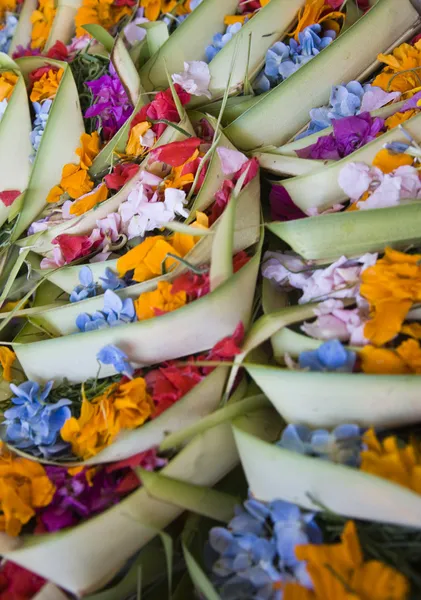 Canang, un'offerta balinese agli Dei — Foto Stock