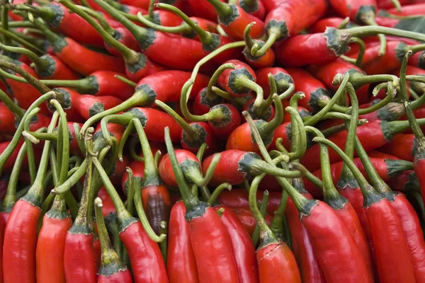 Red hot chili peppers on the market in Bali — Stock Photo, Image