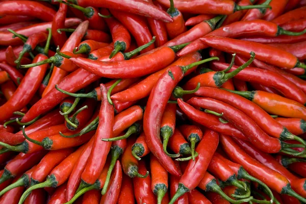 Red hot chili peppers on the market in Bali — Stock Photo, Image