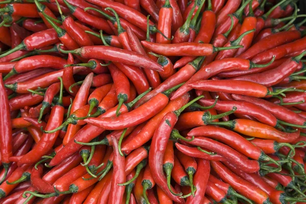 Red hot chili peppers on the market in Bali — Stock Photo, Image