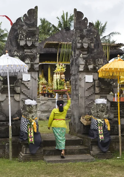 Preparación de ofrendas para una ceremonia del templo en Bali —  Fotos de Stock