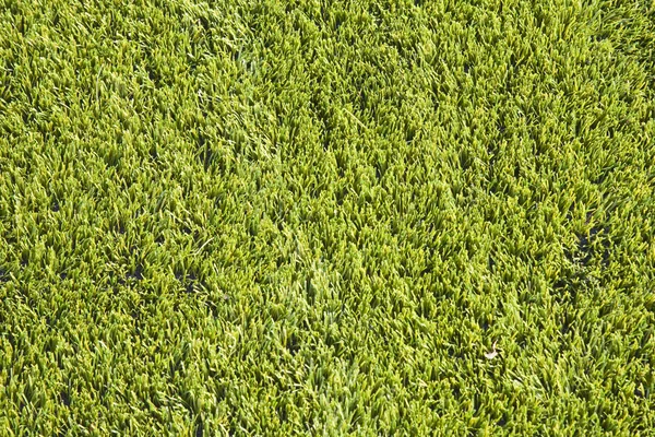 Close up texture of an artificial soccer field — Stock Photo, Image