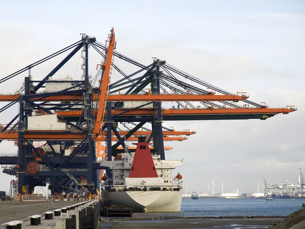 Lastning och lossning behållare i Rotterdams hamn — Stockfoto