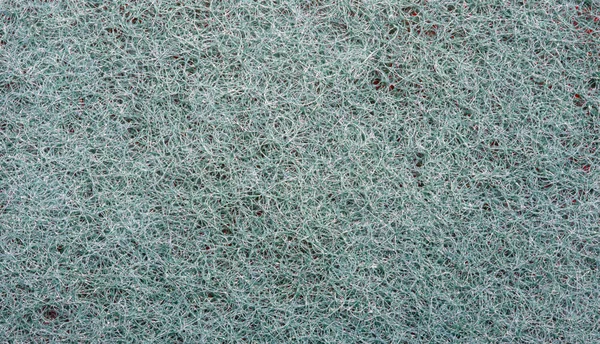 Close-up beeld van een gekleurde spons — Stockfoto