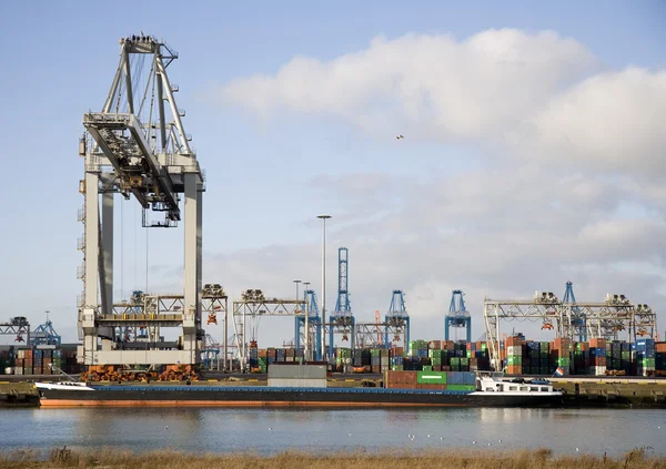 Carga y descarga de contenedores en el Puerto de Rotterdam —  Fotos de Stock