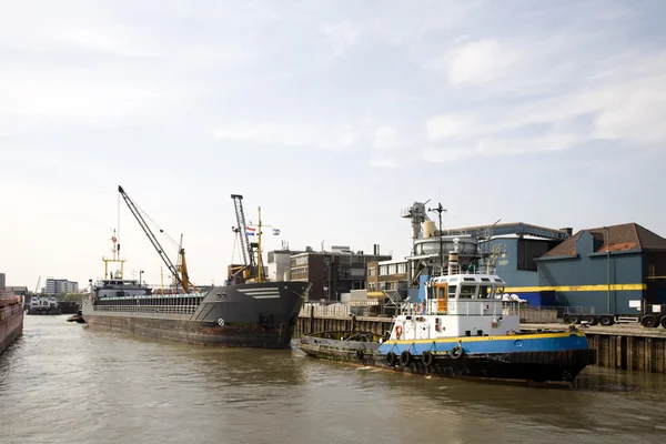 Widok na port w Rotterdamie, Holandia — Zdjęcie stockowe