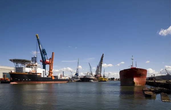 Multi syfte offshore stöd fartyg i hamnen i rotterdam — Stockfoto