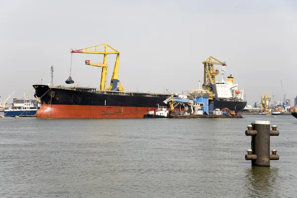 Přepravující hromadné náklady vykládky v přístavu v Rotterdamu — Stock fotografie