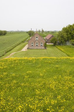 nehir lek dike yanında geleneksel Hollanda çiftlik evi