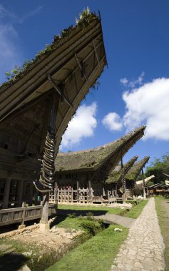 Toraja köyü ile üst üste geleneksel evleri