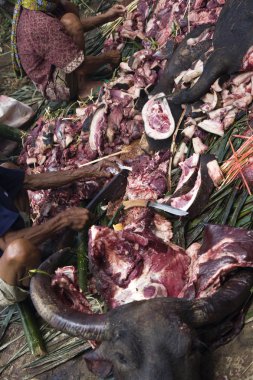 Manda bir ölüm Festivali sırasında kesim