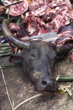 Manda bir ölüm Festivali sırasında kesim