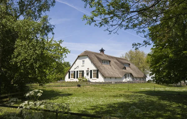 Tradiční zemědělská usedlost v meerkerk, Nizozemsko — Stock fotografie