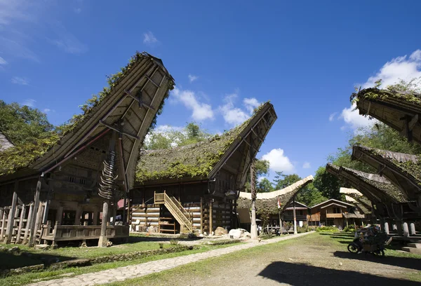 Dům Toraja střech v řadě, sulawesi, Indonésie — Stock fotografie