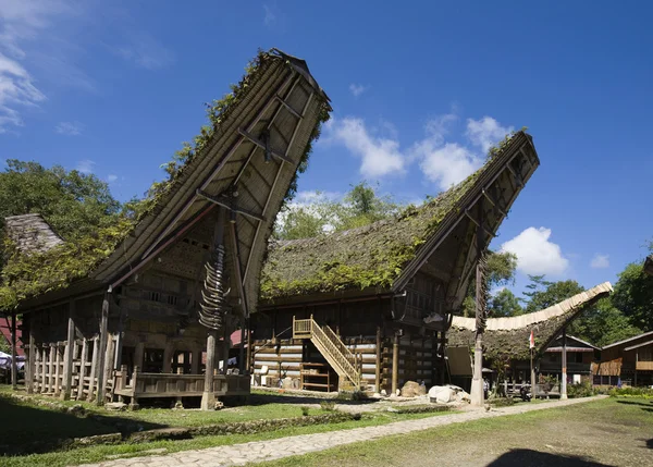 Toraja hausdächer in einer reihe, sulawesi, indonesien — Stockfoto