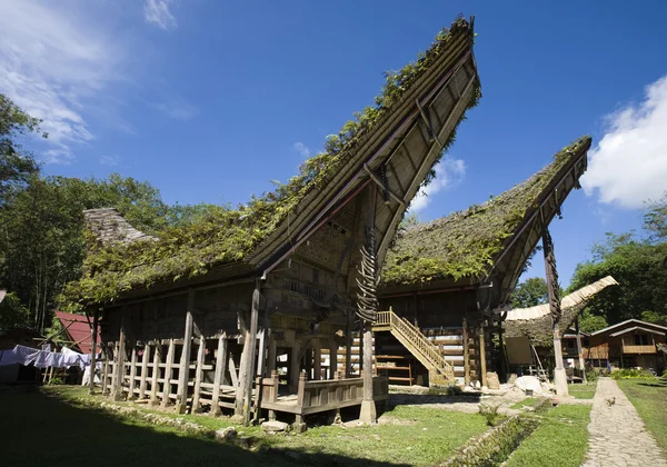 Toraja falu hagyományos házak egy sorban — Stock Fotó