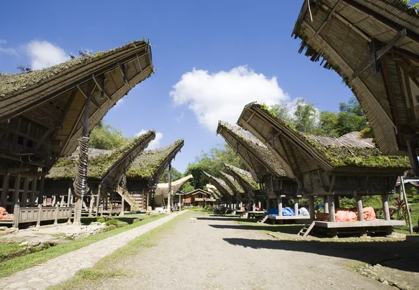 Toraja pueblo con casas tradicionales en una fila —  Fotos de Stock