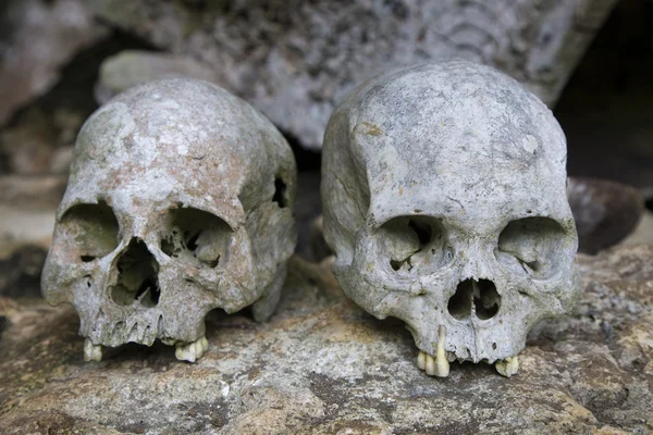 Human skull in the Tana Toraja area in Sulawesi — Stock Photo, Image
