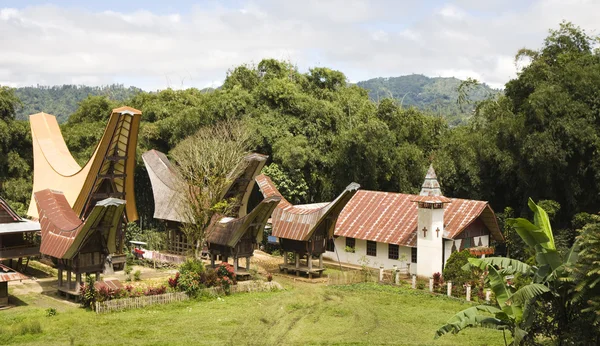 Toraja vesnici s tradičními domy — Stock fotografie