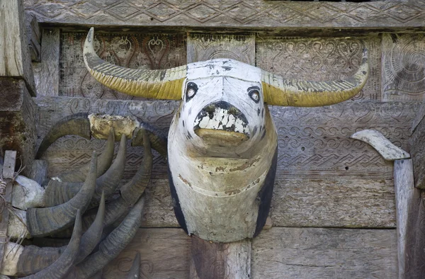 Wooden buffalo on the front of a traditional Toraja house — Stock Photo, Image