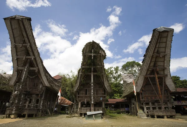 Tradiční dům (tongkonan) v tana toraja sulawesi, Indonésie — Stock fotografie