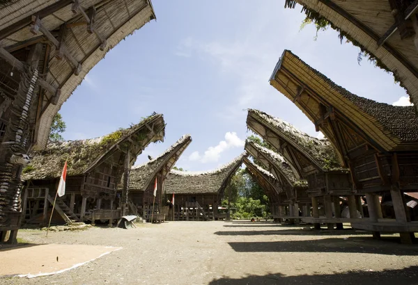 与传统的房子在行中，托拉雅，苏拉威西，印尼托拉雅村 — 图库照片