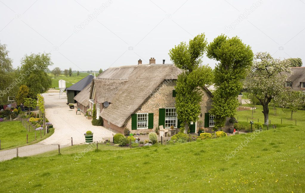 Traditional Dutch farm house alongside the dike of the river Lek