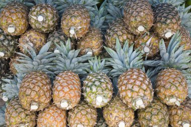 meyve ve sebze ahır puncak, Endonezya