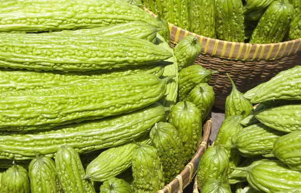 Bitter kalebass (bitter melon) l långa gröna bitter grönsak — Stockfoto