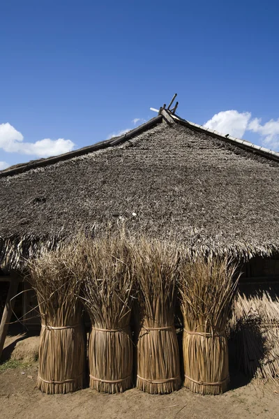 Traditionell stuga i en by i norra lombok, Indonesien — Stockfoto