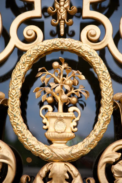 Detail zlaté zdobené dveře loo Palace v Nizozemsku — Stock fotografie