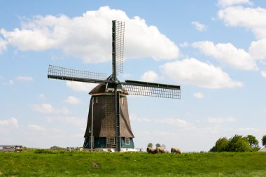 berkmeer Hollanda, geleneksel yel değirmeni