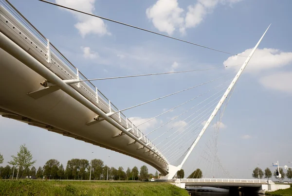 Jeden z trzech mostów calatrava w hoofddorp, Holandia — Zdjęcie stockowe