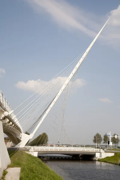 Jedna ze tří mostů Calatravy hoofddorp, Nizozemsko — Stock fotografie
