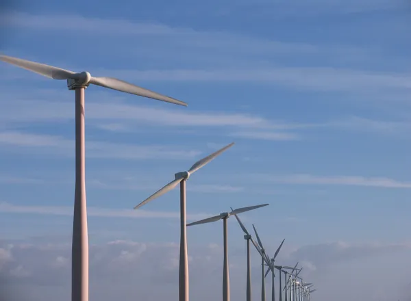 Windmolens in een rij — Stockfoto