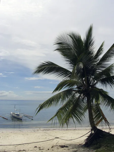 Minodoro beach, Filippinerna — Stockfoto