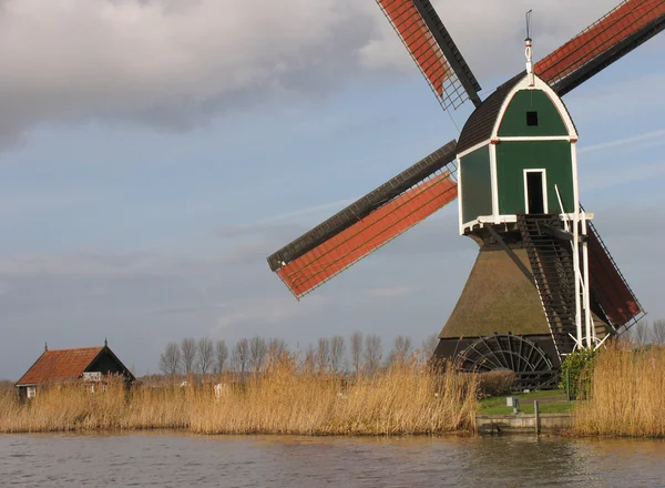 Holenderski wiatrak w groot-ammers alblasserwaard, Holandia — Zdjęcie stockowe