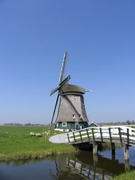 Mulino a vento in un paesaggio olandese — Foto Stock