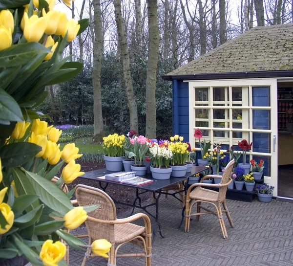 Květinová terasa v Nizozemsku — Stock fotografie