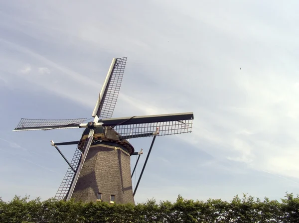 オランダの風車 — ストック写真