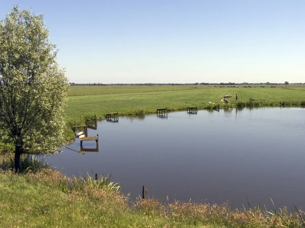 Étang de pêche dans une prairie néerlandaise — Photo