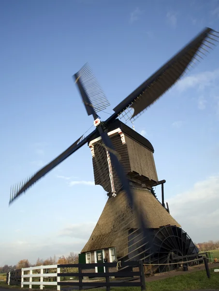 Molino de viento holandés operativo — Foto de Stock